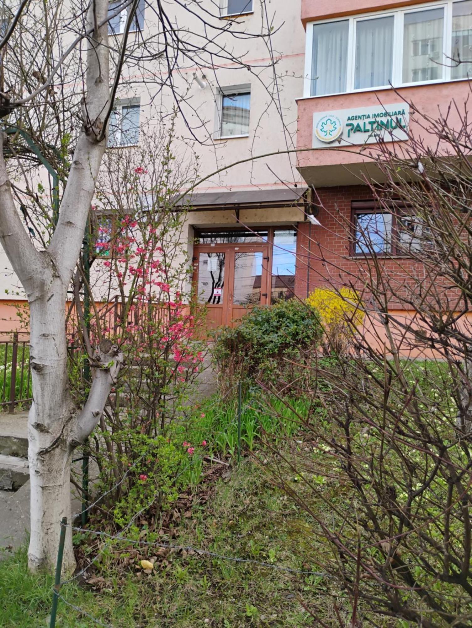 Apartament Acasa Сібіу Екстер'єр фото